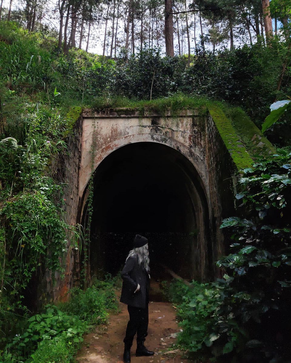 getlostinvietn1's tweet photo. Game over, bae..
#getlostinvietnam #travelinvietnam #dalat #vietnam #tunnel #duonghamhoaxa #getlost #jungle #halloween #green #intothewild #makeithappen #enjoylife #travelinvietnam #backpackerlife #outfit #photograph #mystery #lost #staywild https://t.co/bTJphLBLYs