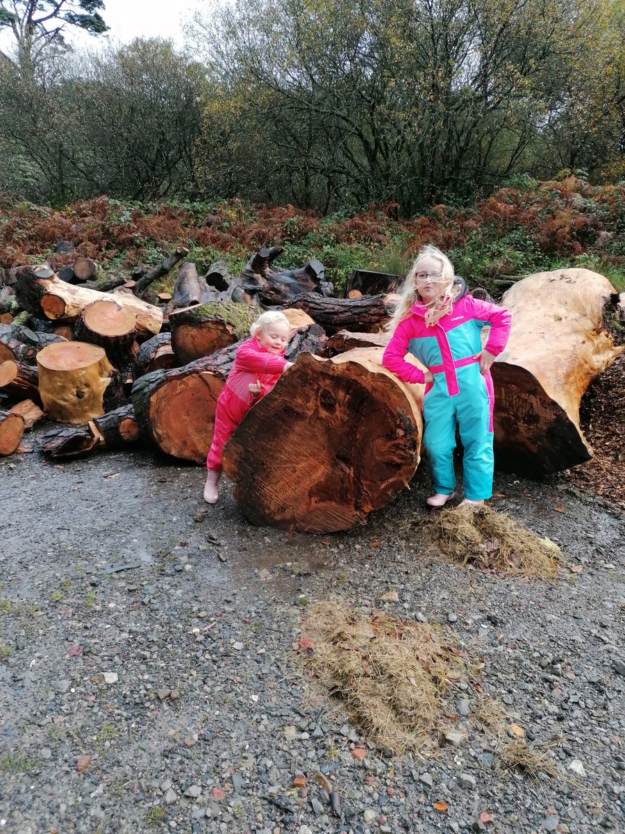RacineMathi's tweet photo. Olivia enjoyed exploring in the rain. We found lots off the Scavenger hunt list. https://t.co/VHerl03wHE