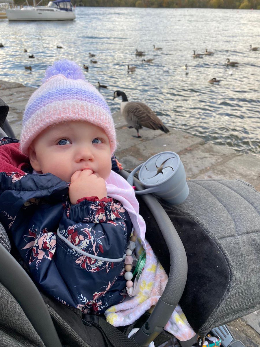 MissAndersonRPS's tweet image. “what do you mean I’ve got to share with the ducks!” #Staycation2020 #LakeWindermere