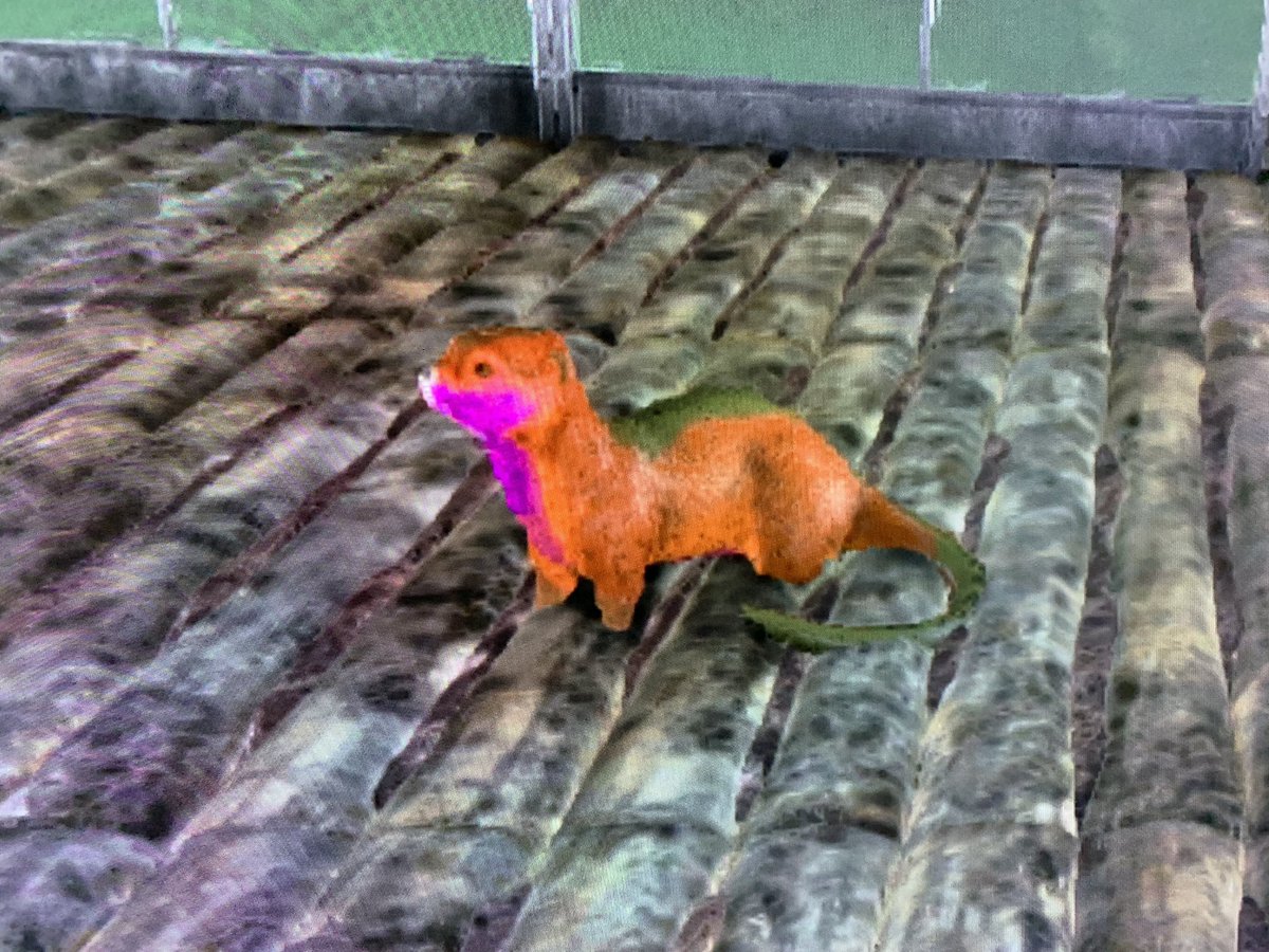まる カワウソとダイヤウルフゲット カワウソは拠点の裏の池で泳いでた Ark イベカラー Arkフレンド募集 ラグナロク まる カワウソとダイヤウルフゲット カワウソは拠点の裏の池で泳いでた Ark イベカラー Arkフレンド募集 ラグナロク
