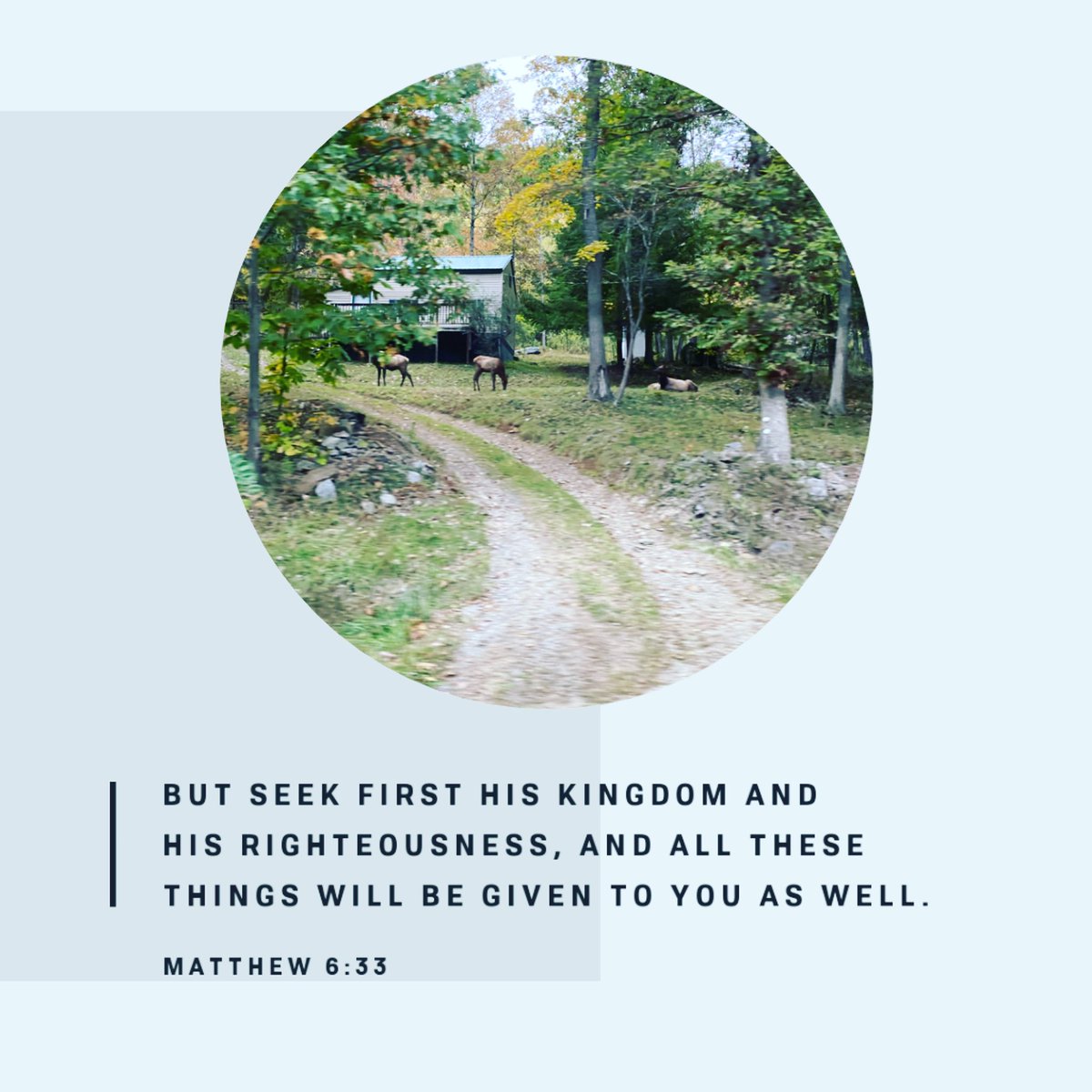 MindyLRussell's tweet photo. #makeHimapriority #SeekGodFirst #Accountability #GodIsGood https://t.co/x9zaGaHmxg