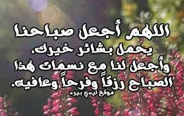 najud54's tweet photo. https://t.co/DwSkX2JiET
