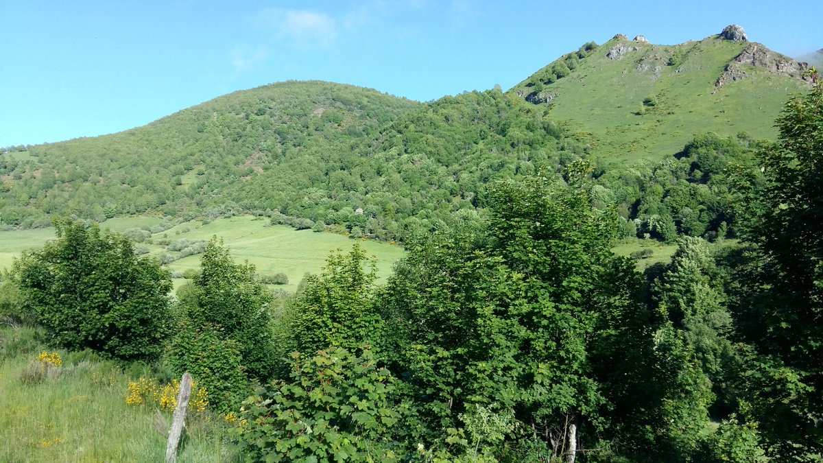 navarro_alb's tweet photo. Sin cambios drásticos, la PAC seguirá fomentando la pérdida de biodiversidad
Mi artículo sobre la reforma de la PAC en @Conversation_E
https://t.co/8CHIkpIjL9
#PAC #FutureofCAP #conservación #naturaleza https://t.co/4c0MWOqFhm