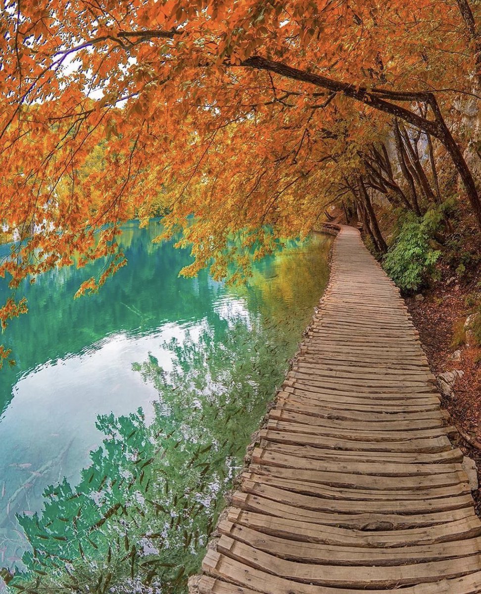 📍Plitvice National Park, Croatia 🇭🇷 

(via kyrenian)

#plitvicelake #lake #waterfalls #nature #park #nationalpark #croazia #autumn #Plitvička #Plitvičkajezera #RepublikaHrvatska