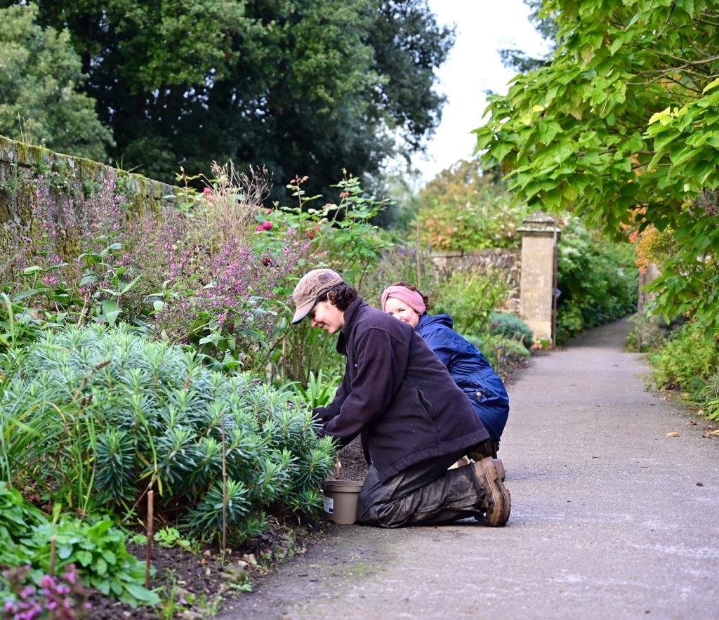 bordehillgarden's tweet photo. To motivate your Monday the Garden team are busy behind the scenes @bordehillgarden planting 4,000 Muscari ‘Peppermint’ grape hyacinth in the Paradise Walk to @chrisbeardshaw design. #borderplanting #borderdesign #bulbs #muscari #sussexgardens #westsussex #MondayMotivation https://t.co/2iMCzdINkR