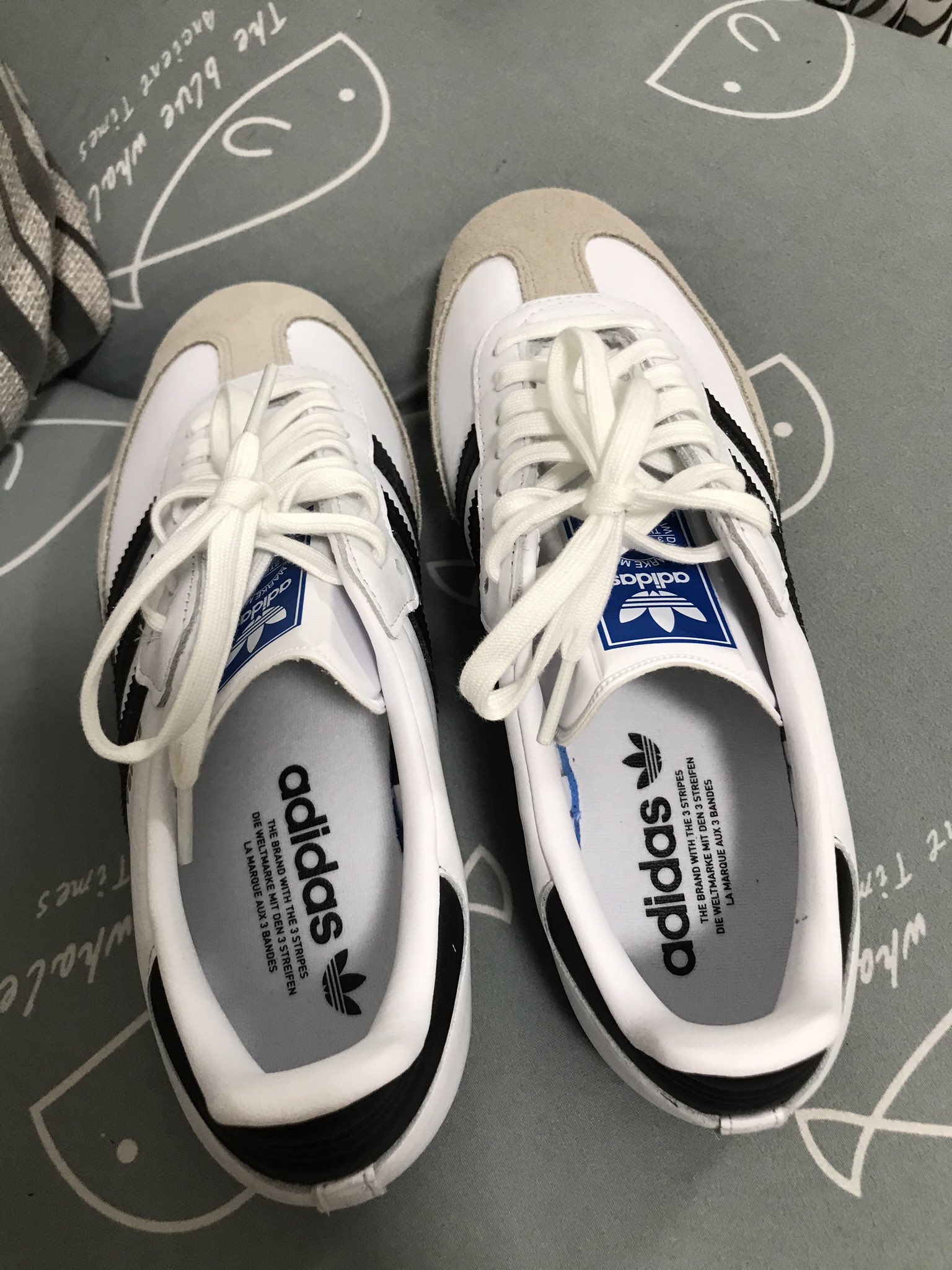 nacido Marty Fielding Calor AA on Twitter: "มือ1 Adidas Original Samba OG Shoes Cloud White/Black  Indoor Soccer BZ0057 Size 40.5 US8 ราคา1,800 #รองเท้าผ้าใบ #รองเท้าadidas # adidas #ส่งต่อรองเท้าผ้าใบ #รองเท้ามือ1 สนใจDM มาได้นะ  https://t.co/eSnazTY2pD" / Twitter