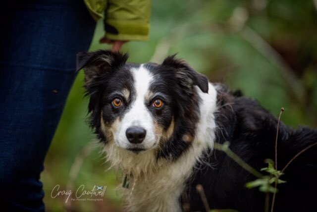 Bathville tweet media