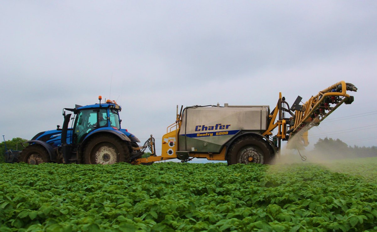 ScotAgronomyLtd's tweet photo. October SCoPAFF decision was for non renewal of Mancozeb with a 6+6 month grace period.  Anticipated CRD will implement this decision &amp; confirm relevant sale and use periods for UK. Mancozeb used since 1961 but now alternaria &amp; blight anti-resistance strategy will be a challenge. https://t.co/dY78oqMeXq