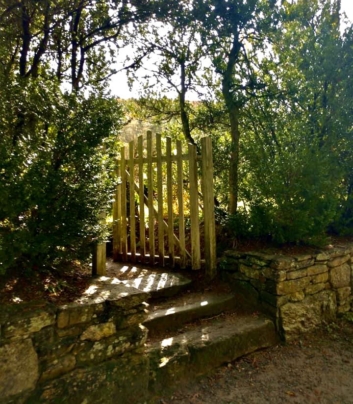 “Still round the corner,
there may wait,
a new road or a secret gate.”
#Tolkien #LotR https://t.co/jslFHsGl0K