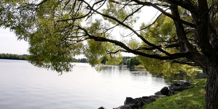 Vastuullinen matkailu on toimintaa, joka on ekologisesti, taloudellisesti, sosiokulttuurisesti ja eettisesti kestävää. Visit Saimaan oppaassa on vinkkejä vastuulliselle matkailijalle. Nappaa vinkit talteen bit.ly/2TmNa0S
#varkaus #visitvarkaus #visitsaimaa #saimaamoments