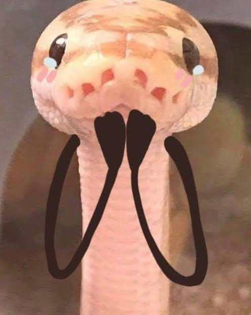 Happy Birthday Katie!!!(I hope you don't hate snakes) Here's a snake - with arms!