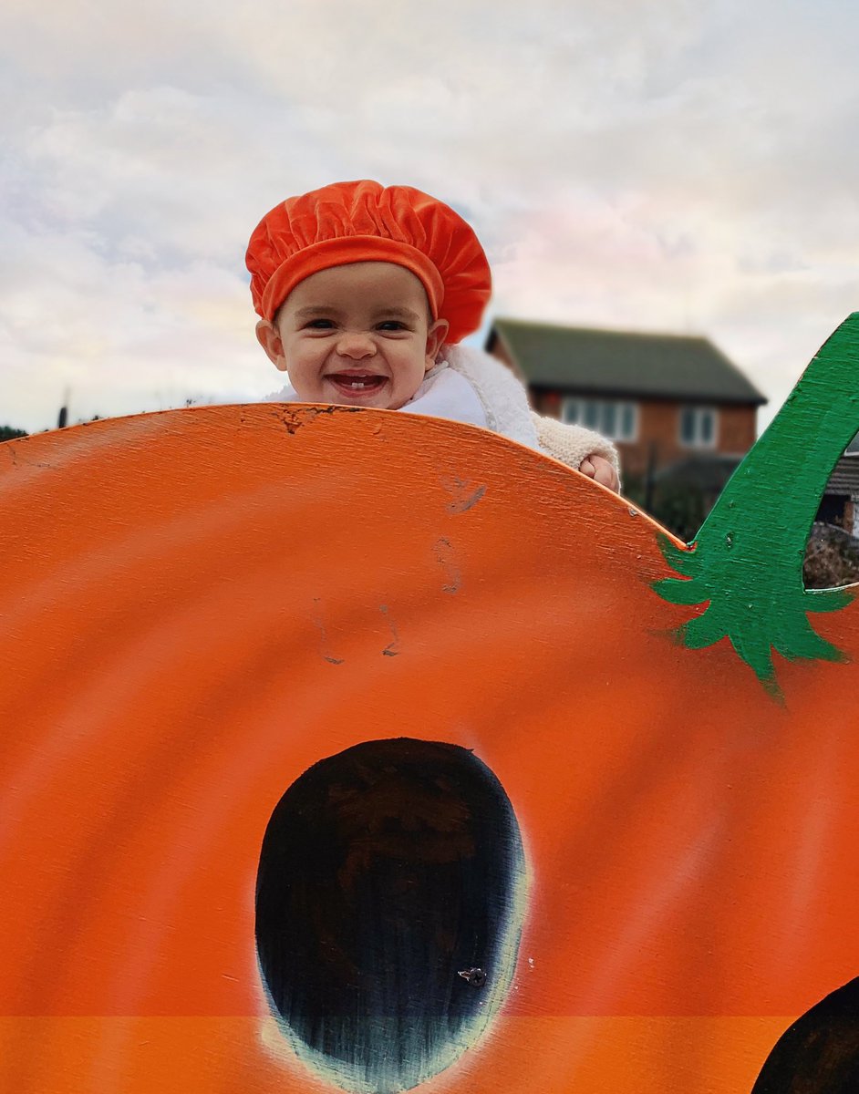 MissSigTweets's tweet photo. You’ve got to pick a pumpkin or two... #halfterm #spookyseason https://t.co/Ib2JtT4hF0