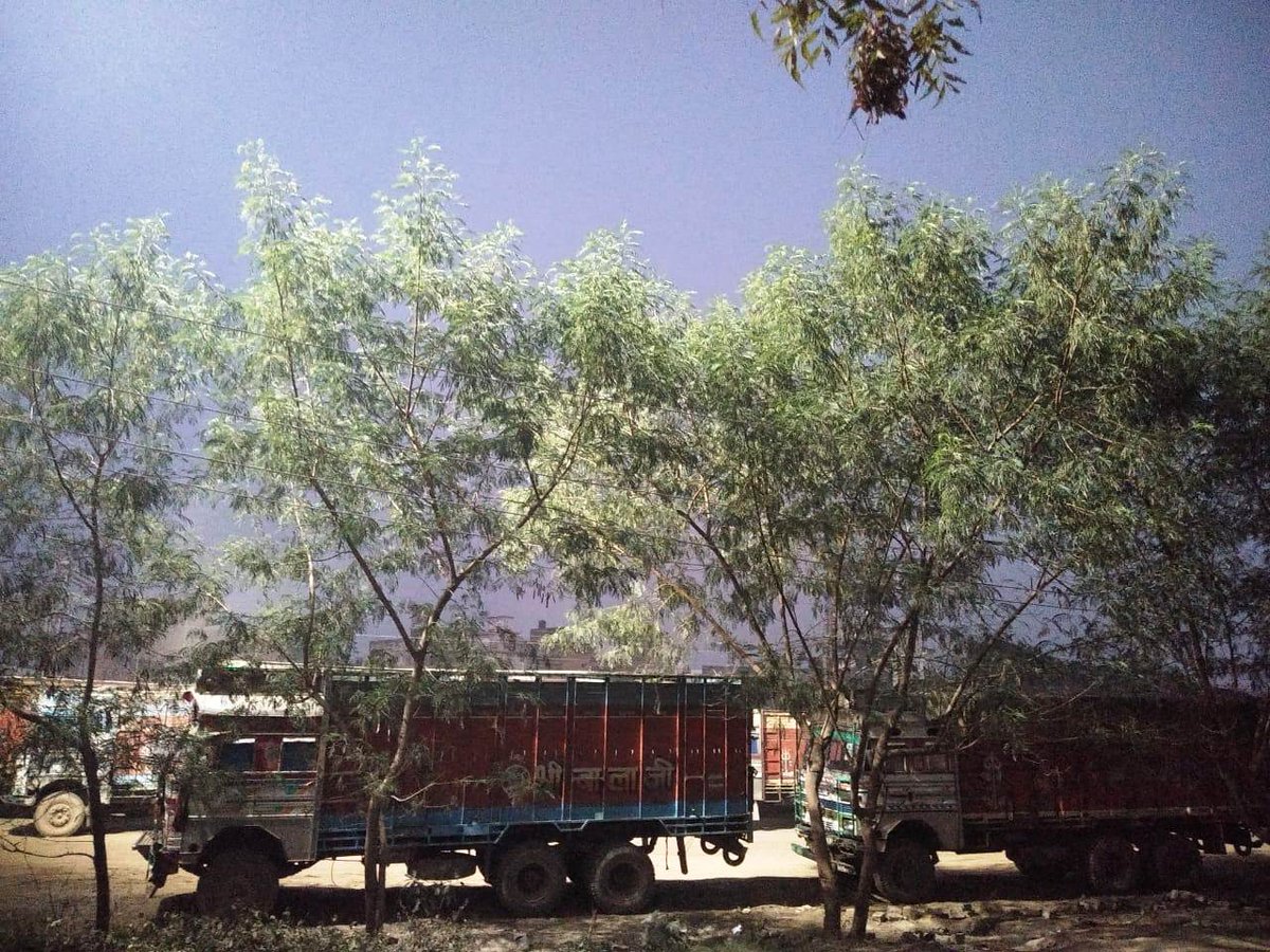 drm_lko's tweet photo. We are constantly working on the Up-Gradation of Goods Sheds under Lucknow Division.
High mast tower has been commissioned at #SHIVPUR freight terminal to facilitate night Unloading/Loading.
At @RailwayNorthern /LKO we are committed to serve our valued traders. @GM_NRly https://t.co/5F97vKMR1P