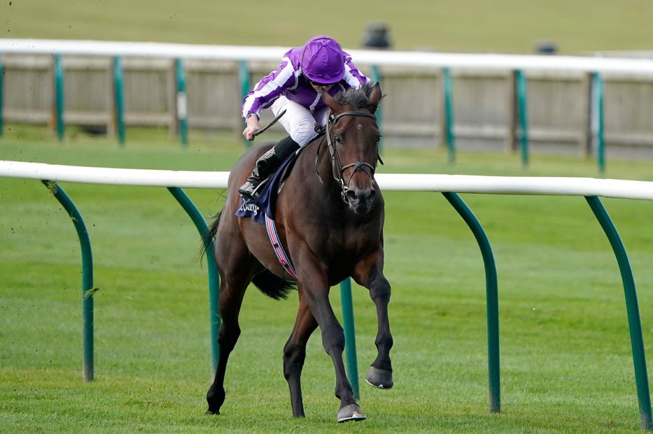 horse racing tips today olbg betting horse racing tips today olbg betting