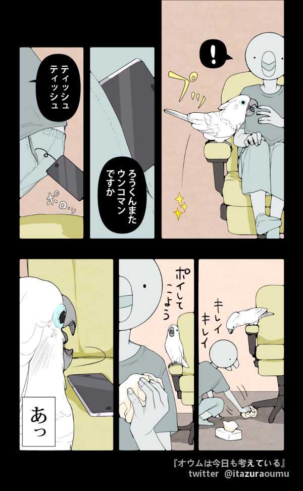 鳥にスマホを破壊された日
#漫画 #オウムは今日も考えている 