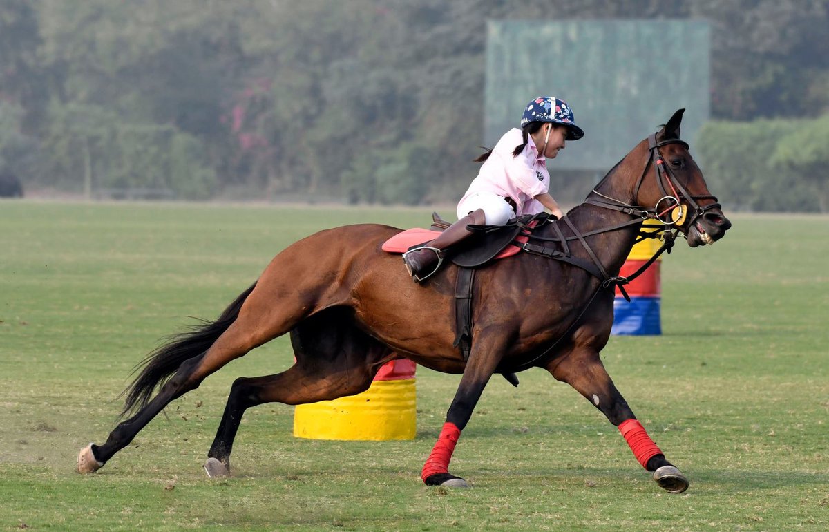 pinktoberpk's tweet photo. Look at these young stars of polo. They stunned the audience with their talent and impressive performance.
@BrightoPaintsPK @IndigoHHS @MrOmerAftab
#LahorePoloClub #PinkRibbon #breastcancerawareness #lulusar #lahorepoloclub #BrightoPaints #HappyCowCheese #HogPakistan #KlockWork https://t.co/6TShH5DcJn