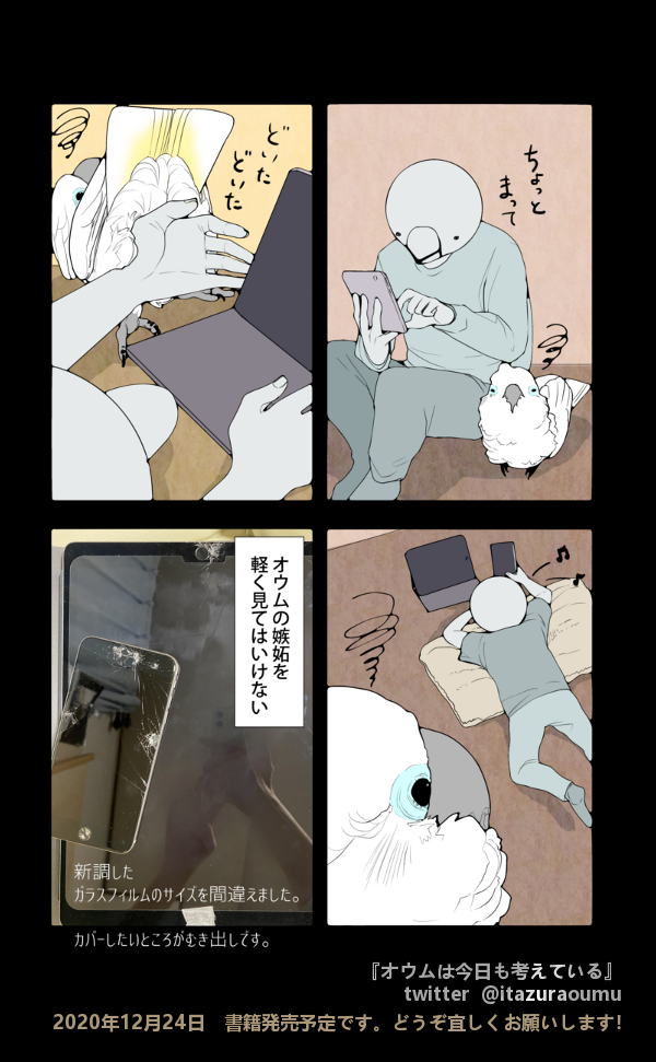 鳥にスマホを破壊された日
#漫画 #オウムは今日も考えている 