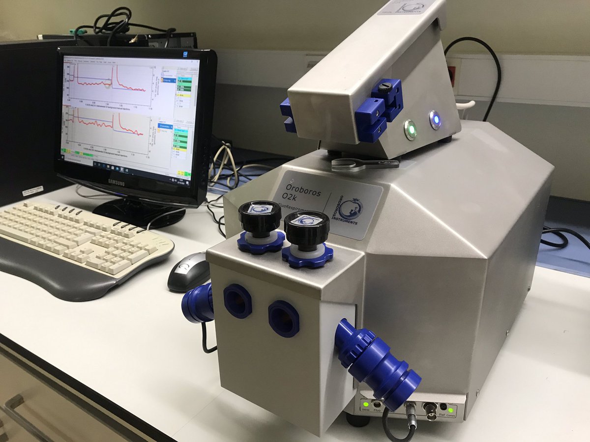 Esther_GD_'s tweet image. Ongoing... 👩🏽‍🔬

#Oroboros