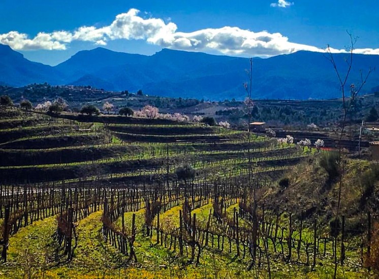 Winenium Barcelona wine tours on #Google #COVID19 #Barcelona 
local.google.com/place?id=41293…