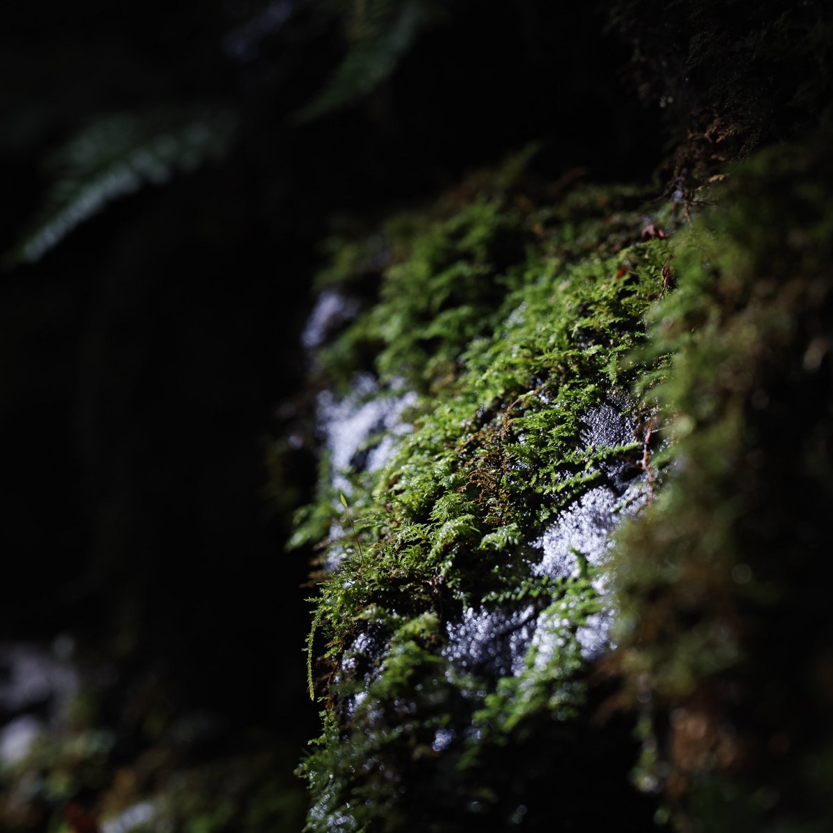 kelra555's tweet photo. 現像すると、また行きたくなる。今度はもっと上手く撮れないかと。#earthscope #landscape #dailyphoto #ray_moment #photo_shorttrip #daily_photojpn #SIGMA #dslr #sdquattroh #faveon #ファインダー越しの私の世界 #カメラのある生活 #カメラ好きな人と繋がりたい https://t.co/NcsPk0yuJY