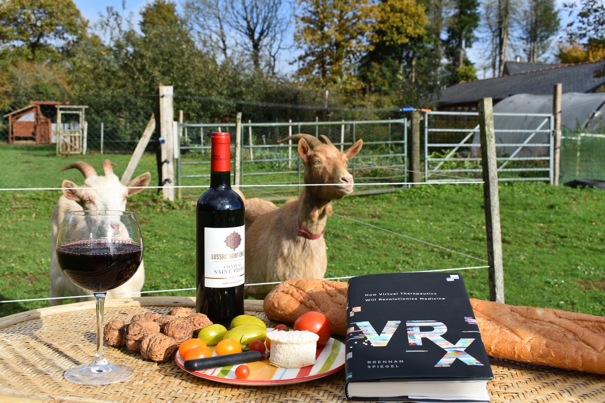 I had never imagined that my book would be framed beside a baguette, wine, cheese, and a pair of goats. A lovely scene! I hope you (and the goats) are enjoying #VRx!