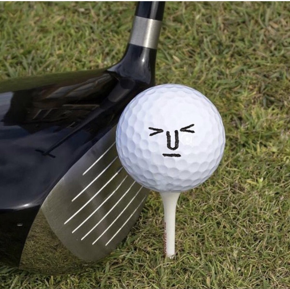 xaviersegers's tweet image. Ready for that Monday to hit hard! 😅
#MondayMood #anxiety #tonymckay
instagram.com/p/CGzUdx6g6za/