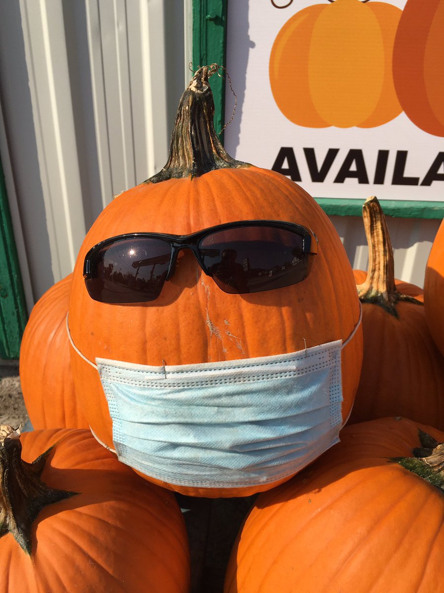 BarnimChrisUPI's tweet photo. Happy National #PumpkinDay! I love pumpkin scents, pumpkin flavours, carving pumpkins, decorating with pumpkins... I LOVE PUMPKINS! #NationalPumpkinDay https://t.co/5WtdfYF5zd