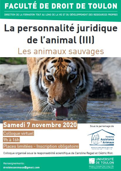 UnivDroit_EDD's tweet photo. [Colloque] 07/11 | La personnalité juridique de l’animal (III). Les animaux sauvages.  @univtoulon @FAAOfficiel https://t.co/WjakRvng9z https://t.co/V5qYzHVRGF