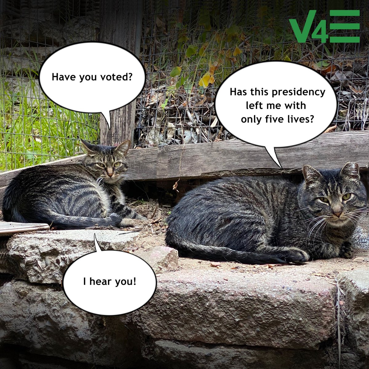 Some much needed humor on this Monday... But in all seriousness, do as the cats say, and #Vote4Equality!