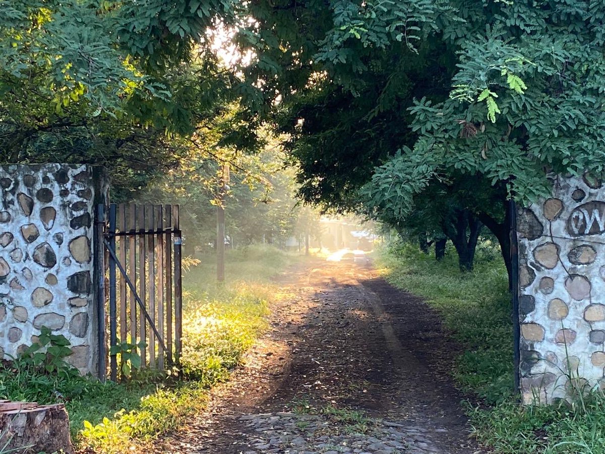 ¡Muy buenos días! Les comparto esta imagen comalteca con luz otoñala, en el camino a Suchtilán. ¡Que tengan un buen inicio de semana!