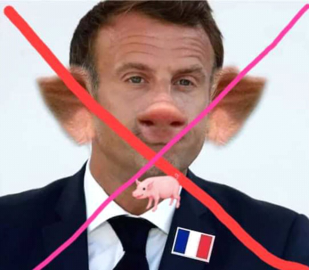 CaleedHottie's tweet photo. @EmmanuelMacron fuck you https://t.co/JVhfA9UfFg