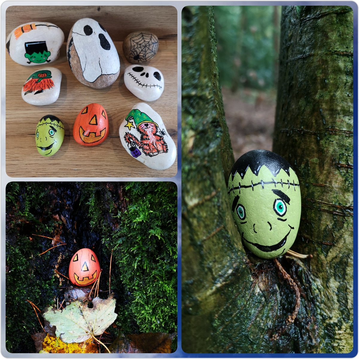 KateBB76's tweet photo. Halloween rocks left in the Pinewoods, between rain showers, today. #pinewoodsrocks #Pinewoodsharrogate https://t.co/O1j56jr6Qa