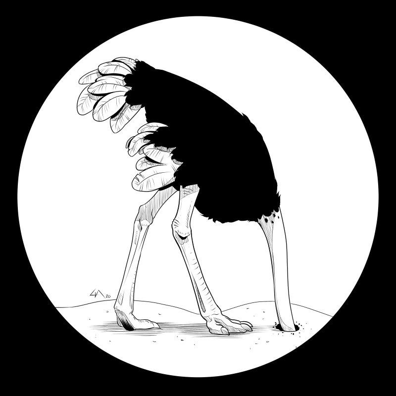 lia_draws's tweet photo. Day 26: hide #inktober #inktober2020  I only had an hour for this today and nothing else came to mind 😅 https://t.co/Oicxsj3WvY