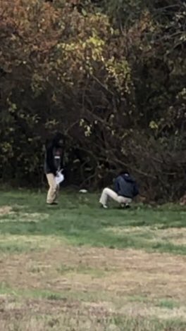 Nicholas Murphy tweet media