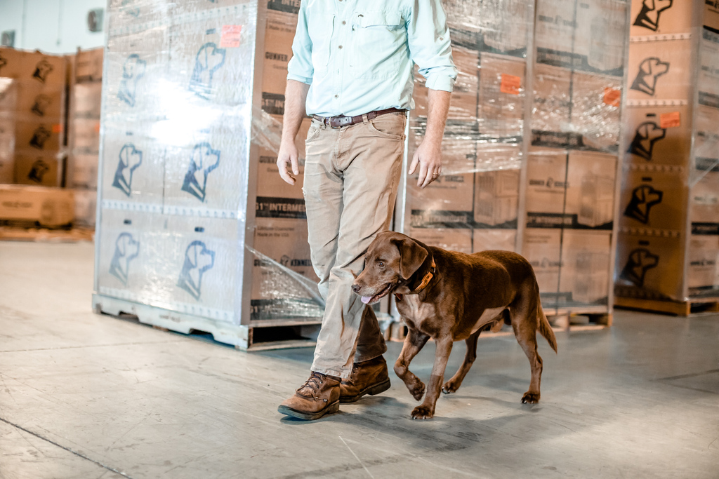 Gunner_Kennels's tweet photo. Gunner turns 12 tomorrow and he’s still coming to work every day. Got big plans to celebrate him well. Cheers to all those old dogs out there, and to another season with the dog who inspired it all. #MeetGunner
⠀
Photo: @meghanlupyan | https://t.co/9cBLnUVjCS https://t.co/EZDWMcFRYR