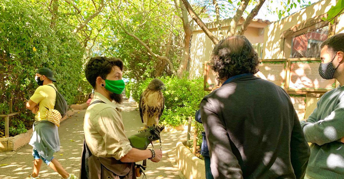 Éxito de participación en el Día del Águila organizado por la Fundació Natura Parc <a href="/Fundacio_NP/">Fundació Natura Parc</a> 

canal4diario.com/2020/10/26/exi…