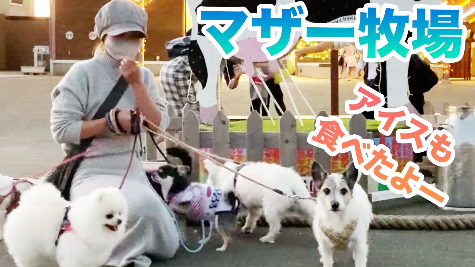 わたあめと10人の大家族 10wataame3 Twitter