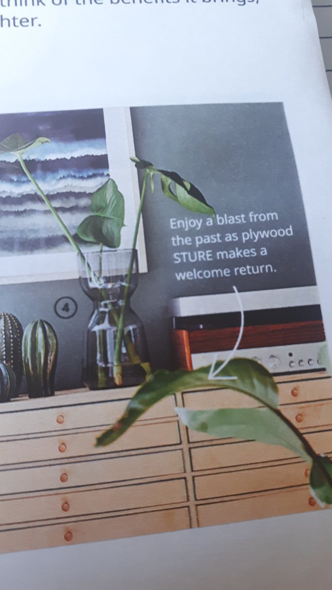emmatheneen's tweet photo. @IKEAUK you absolute tease! When can we expect STURE to hit stores? https://t.co/XUhw3qnrUB