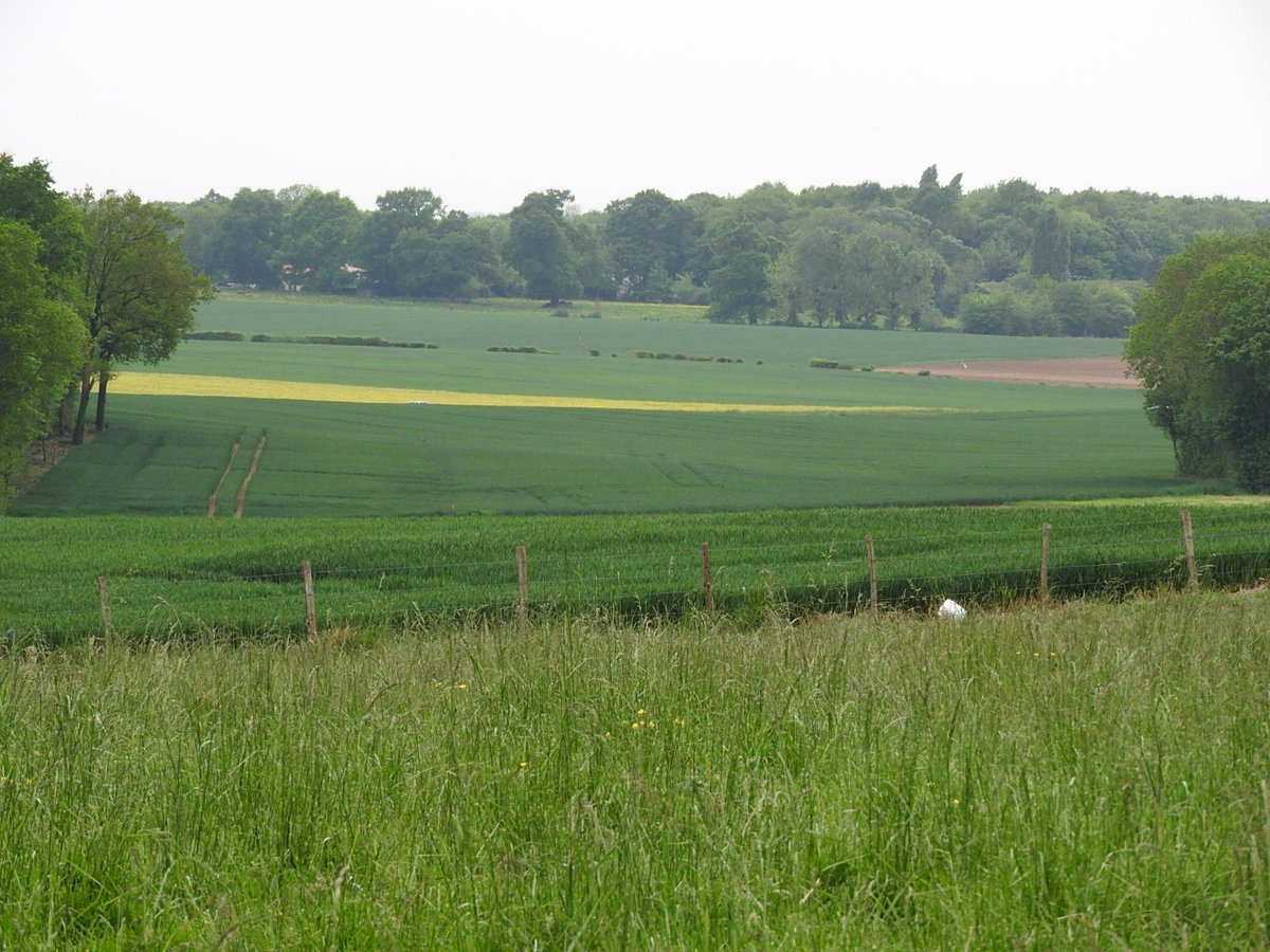 ParkandView's tweet photo. ⛺️ "La prairie du bout du monde"⛺️
🇫🇷 Charente-Maritime 🇫🇷

Environement: #Campagne, #Ferme, #Prairies

https://t.co/y3P7iZay2A

#camping #camperlife
#vacances #voyage #holiday #freedom #nature #naturelove #parkandview https://t.co/XLh5HKEu2P