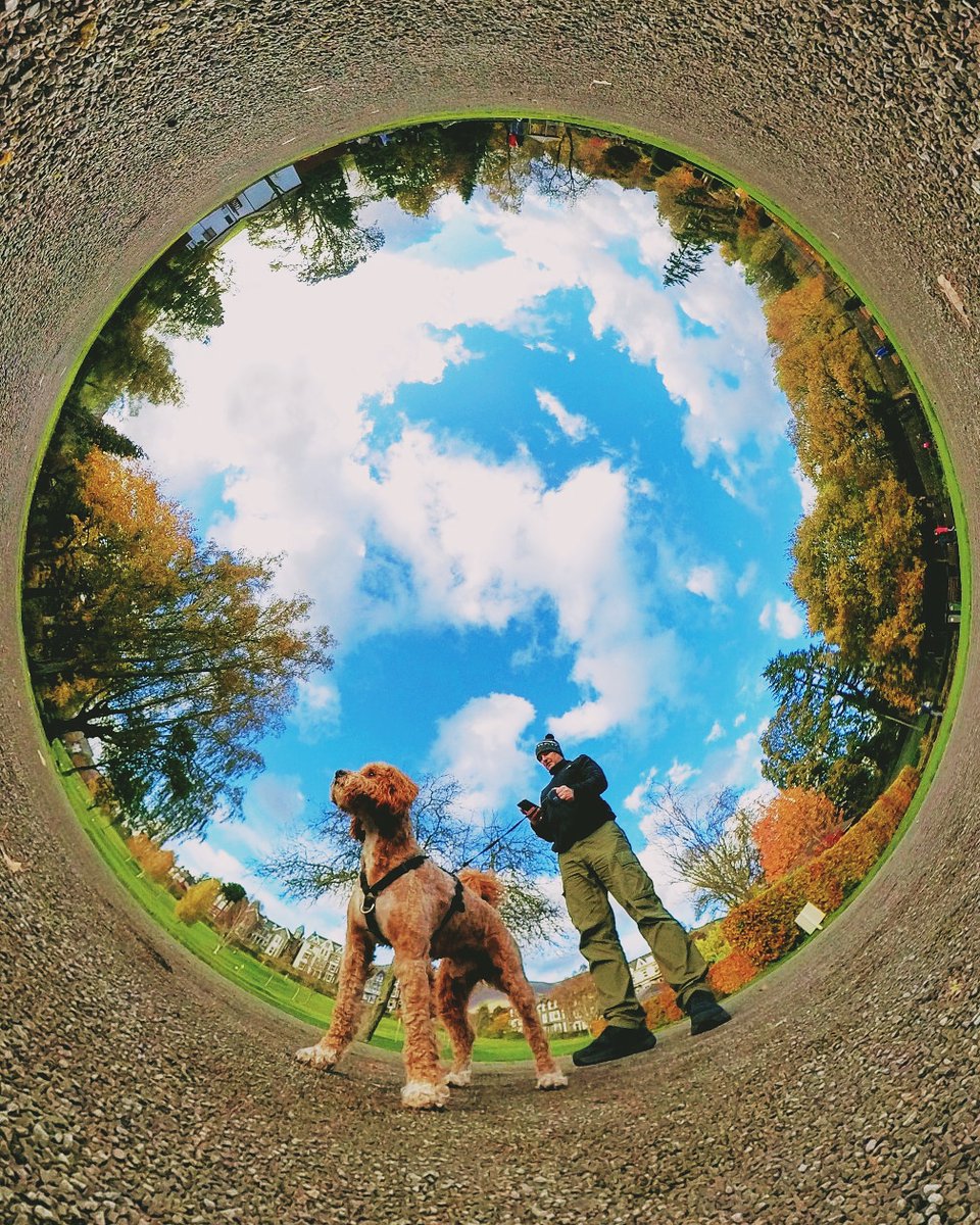 Taking pooch for a walk.
#invertedplanet #tinyworld #miniworld #dogsoftwitter #dogwalking #keswick #cockerpoo #cavapoo