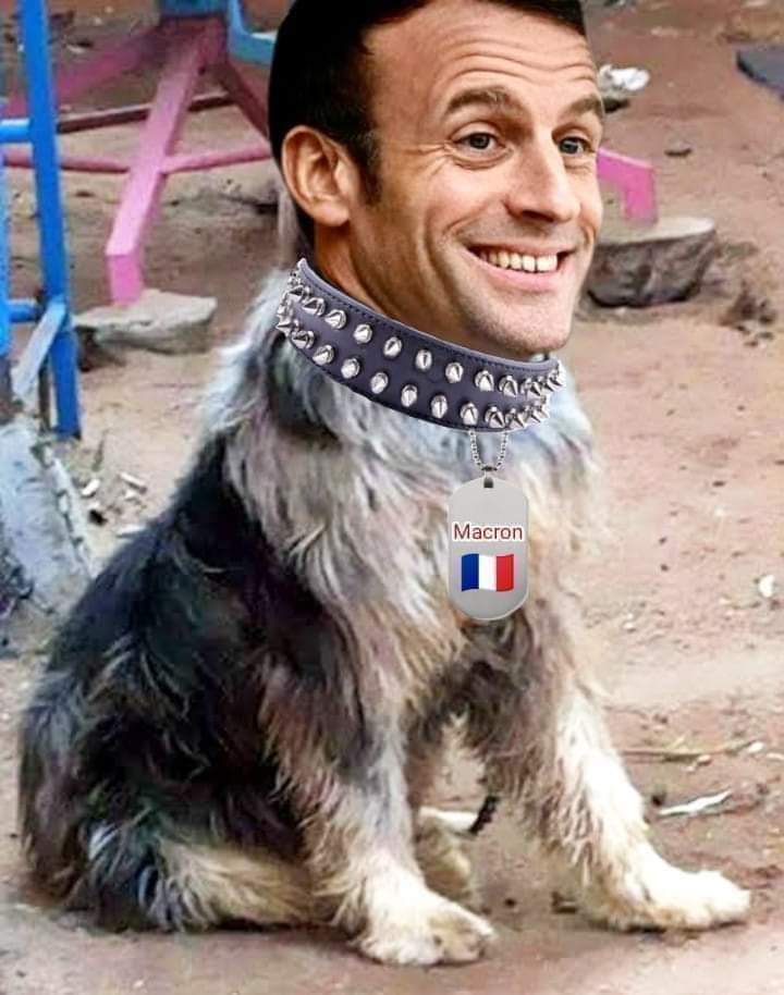 HamoodAlhashm19's tweet photo. @EmmanuelMacron 
Hey you!
Mr MotherFucker🖕 https://t.co/Q66et5B72D