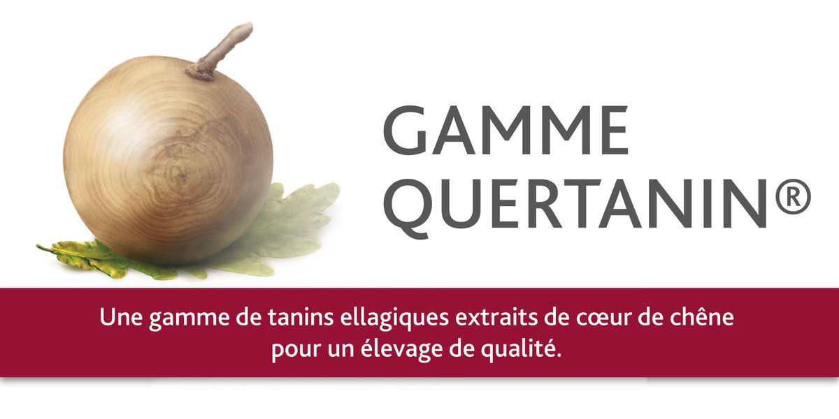 Laffort_France's tweet photo. Avez-vous d��jà essayé nos produits de la gamme QUERTANIN® ? N’hésitez pas à demander votre kit QUERTANIN® Line.
https://t.co/lbvpTegNA4 https://t.co/345XTXTWuN