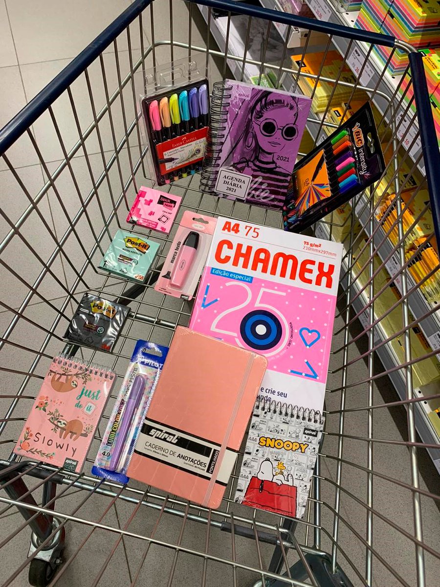 O que eu deveria comprar / O que eu realmente comprei
