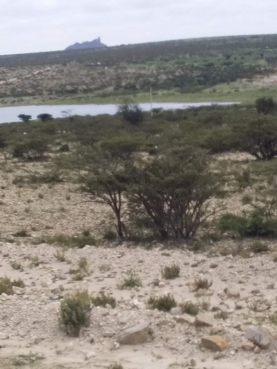 This picture collects couple of things: Awbarre Mini Dam,  #JufaMicidheer mountain  where I used to look after   at the shores of the  #Farms around it & the road that connects  #Awbarre to  #TogWajaale and  #Jidhi - When trees are small is called "Jidhi" in Af Somali.  #DDS