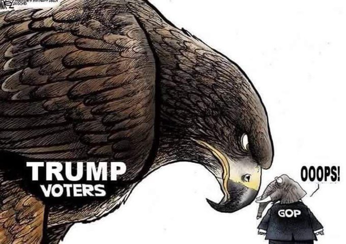 2020 recapped in images--NOT chronological