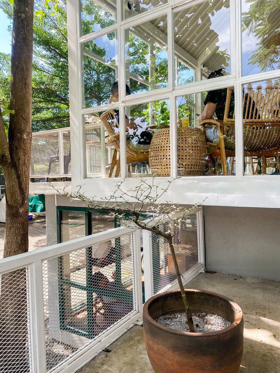 Pergi ke Dago tapi bingung mau nongkrong di mana? Mampir ke sini aja, kedai kopi bergaya japanese minimalist ini punya suasana sejuk dan hening bgt dijamin betah deh!

📍Kanoko Coffee