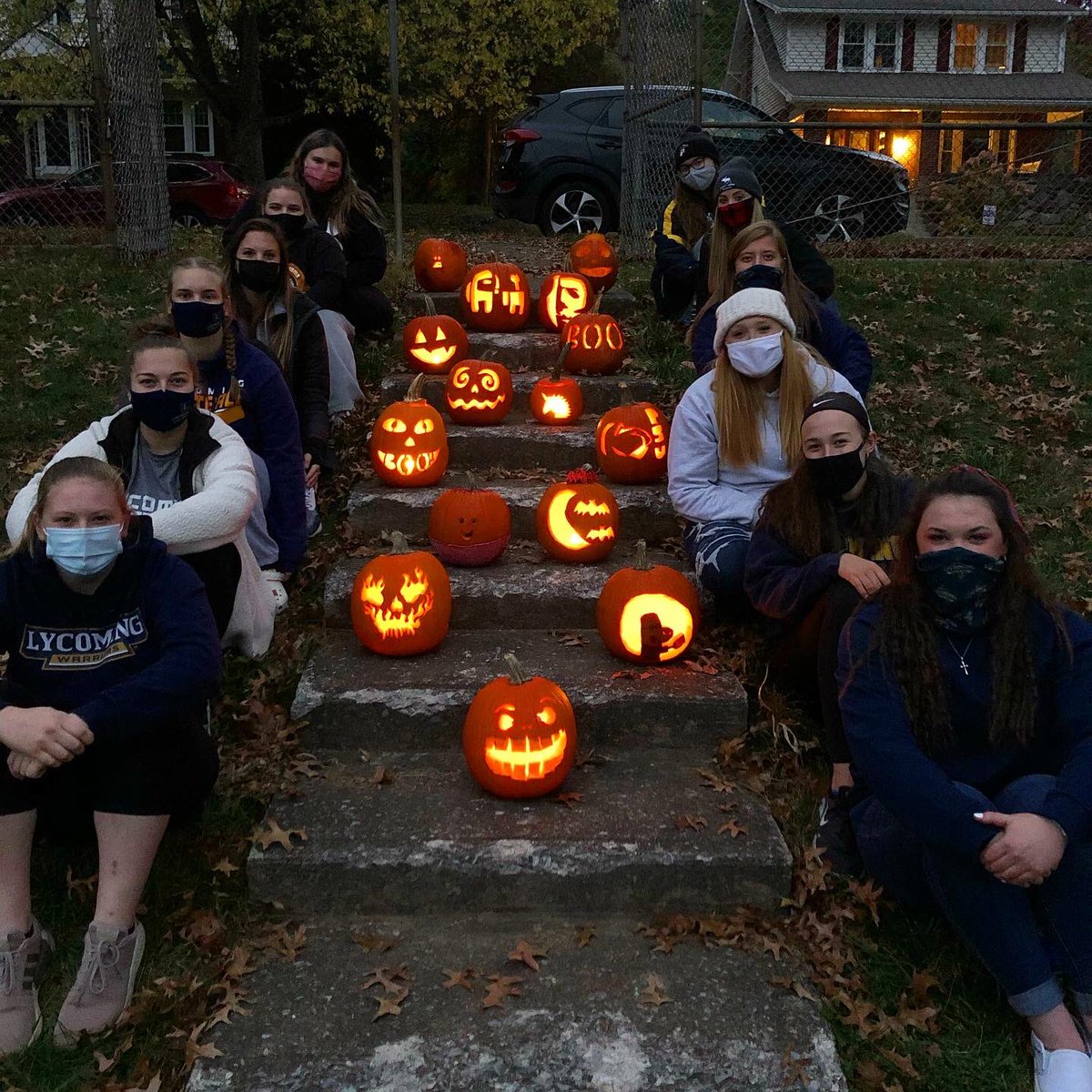Lycoming Softball tweet media