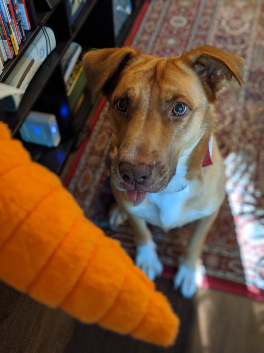 Madeline Thomas tweet media