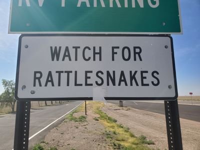 2020 recapped in images--NOT chronological