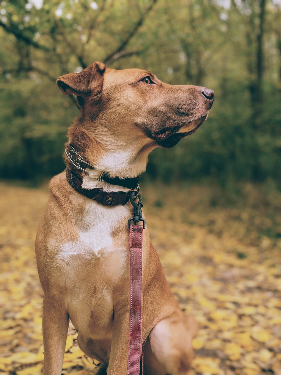 Madeline Thomas tweet media